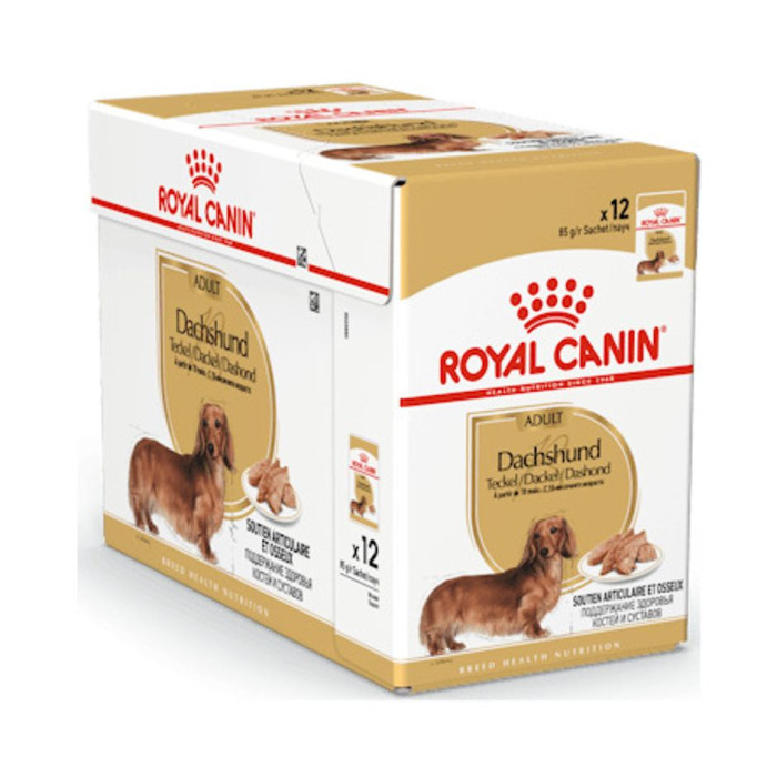 Royal Canin säilykeruoka BREED Dachshund Wet 12x85g