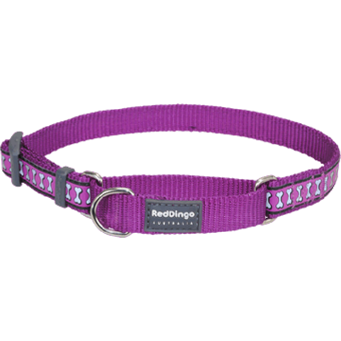 Koiran puolikiristävä panta - Reflective Martingale, liila