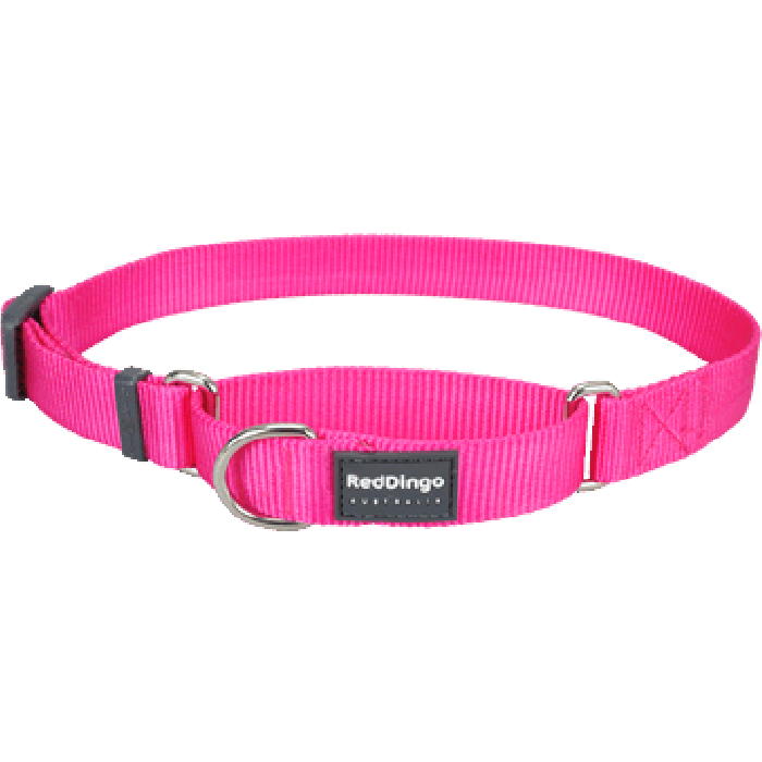 Koiran puolikiristävä panta - Martingale, hot pink