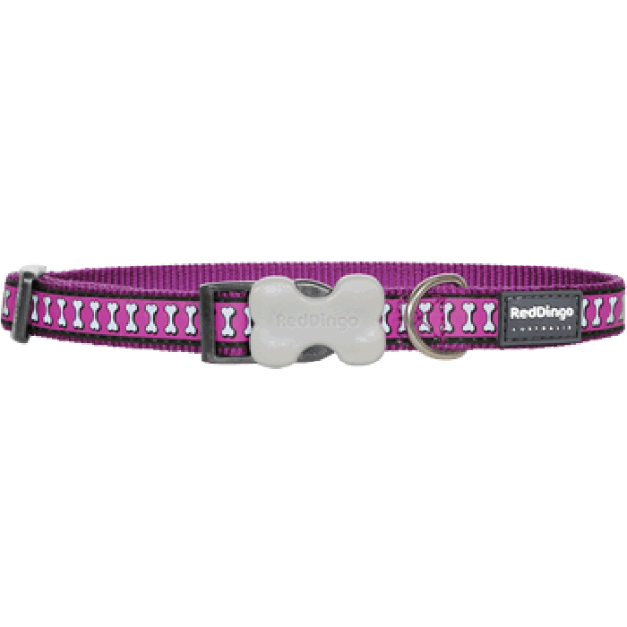 Koiran panta Reflective, Purple