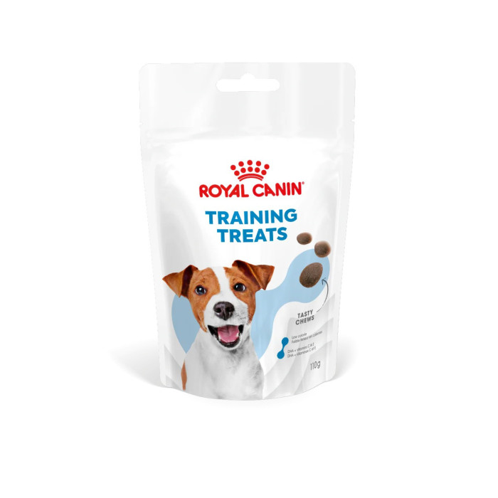 Tasty Training Treat 110g