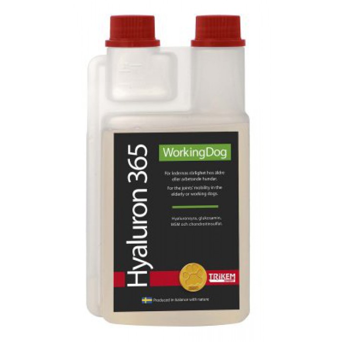 WD Hyaluroni 365 500ml