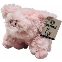Furry Animal Longhaired