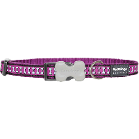 Koiran panta Reflective, Purple