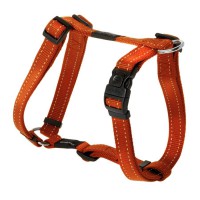 Rogz Fanbelt straightjacket Orange Medium to Large