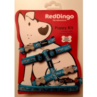 Red Dingo Puppy Pack -panta, talutin ja valjas koiranpennuille
