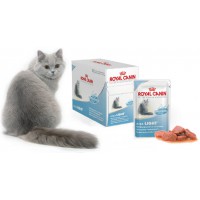 Säilyke Light Weight Gravy 12 x 85g