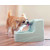 PetSafe Drinkwell Mini Pet Fountain juoma-automaatti 1,2l